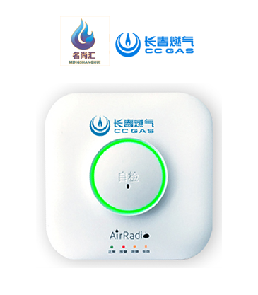 必赢网络游戏平台报警器（自然气）